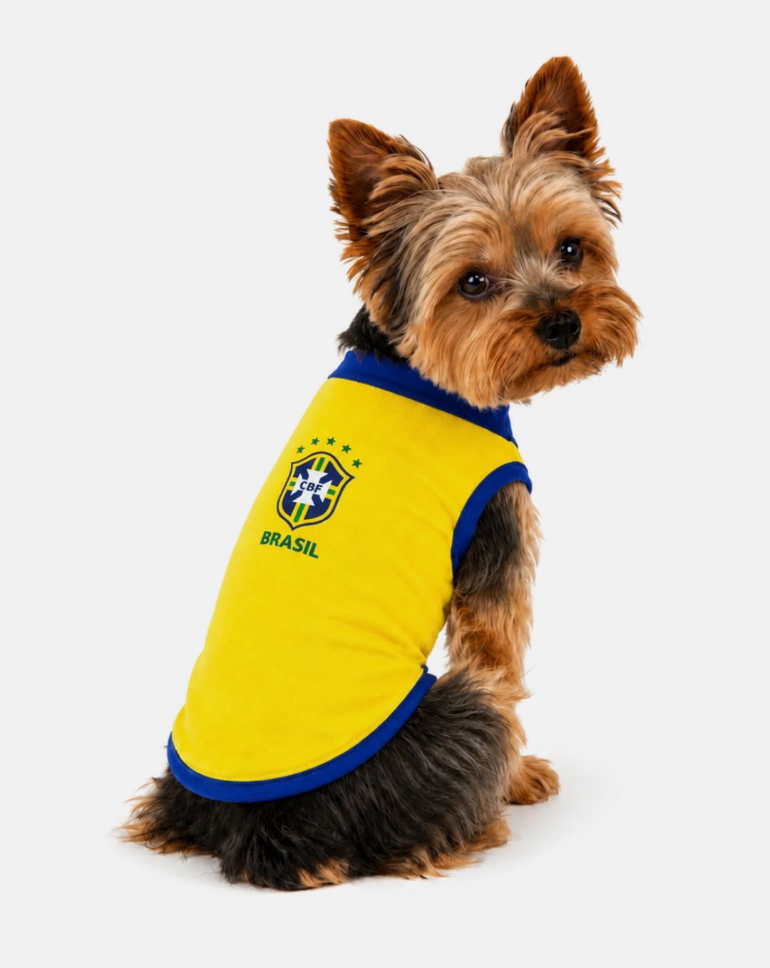Camisa Brasil Amarela para Cachorro