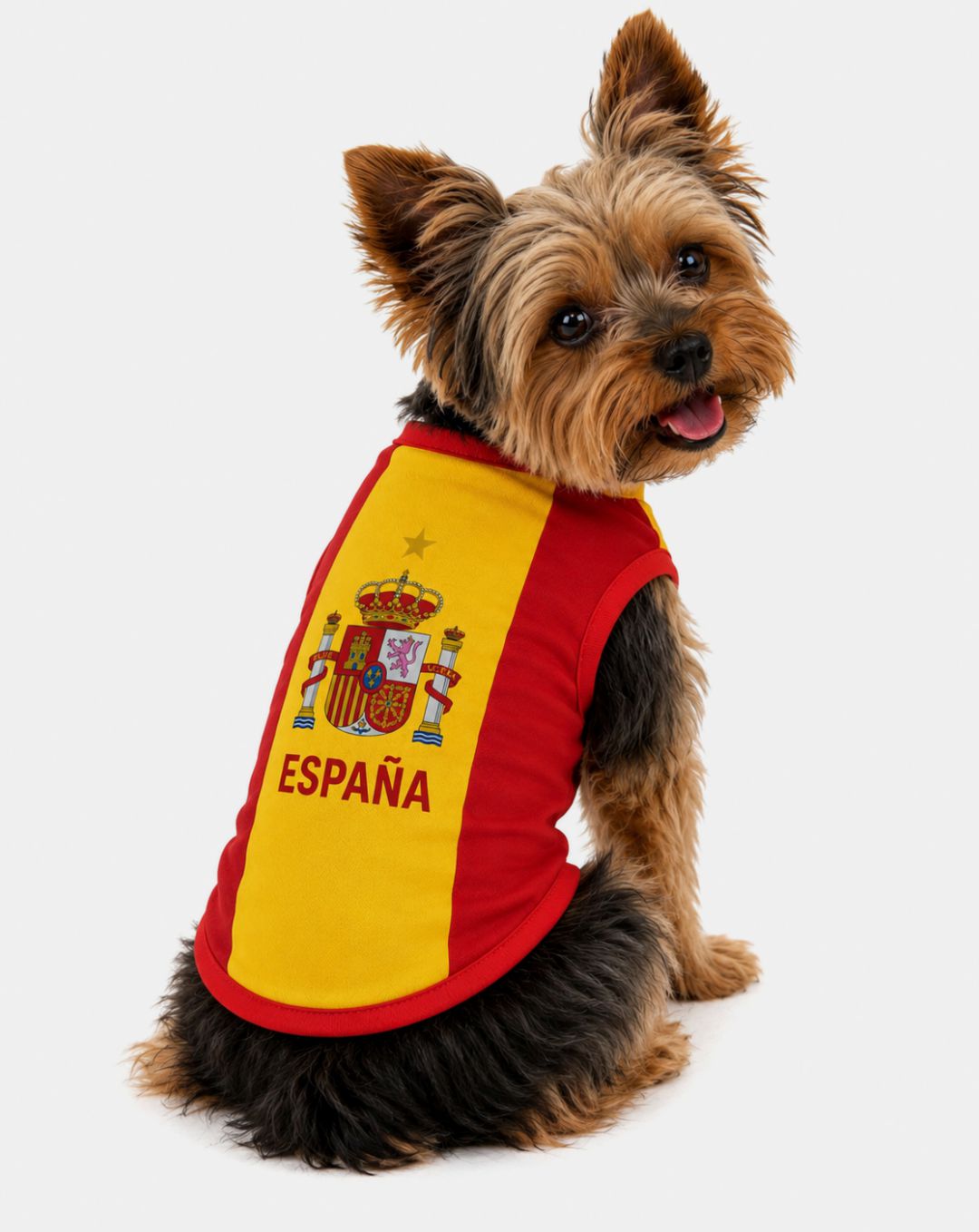 Camisa copa do mundo Espanha