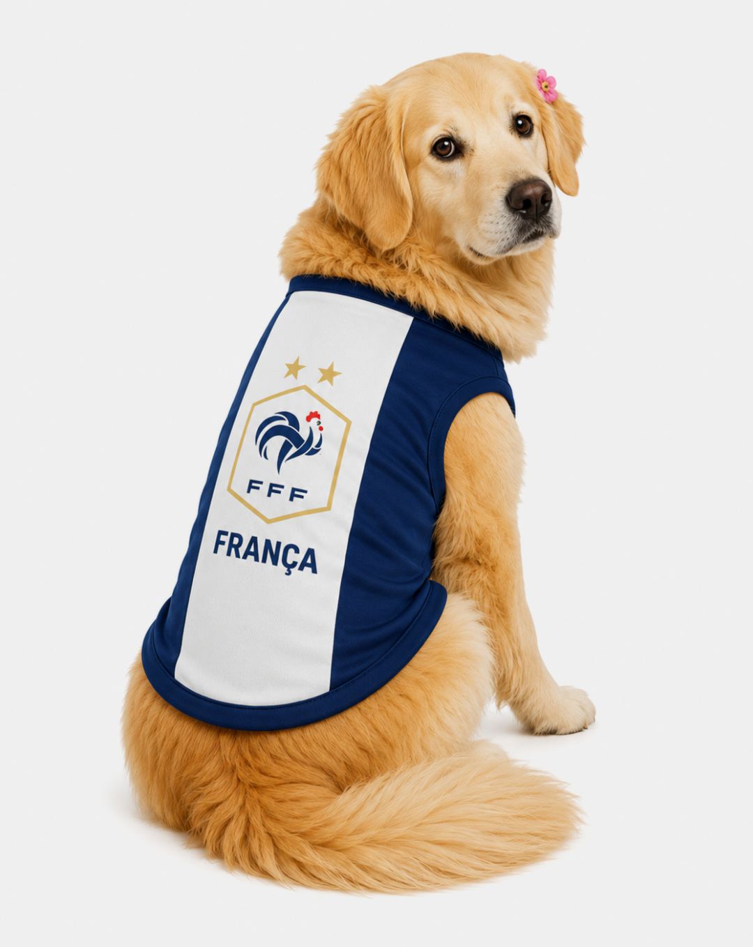 Camisa copa do mundo França
