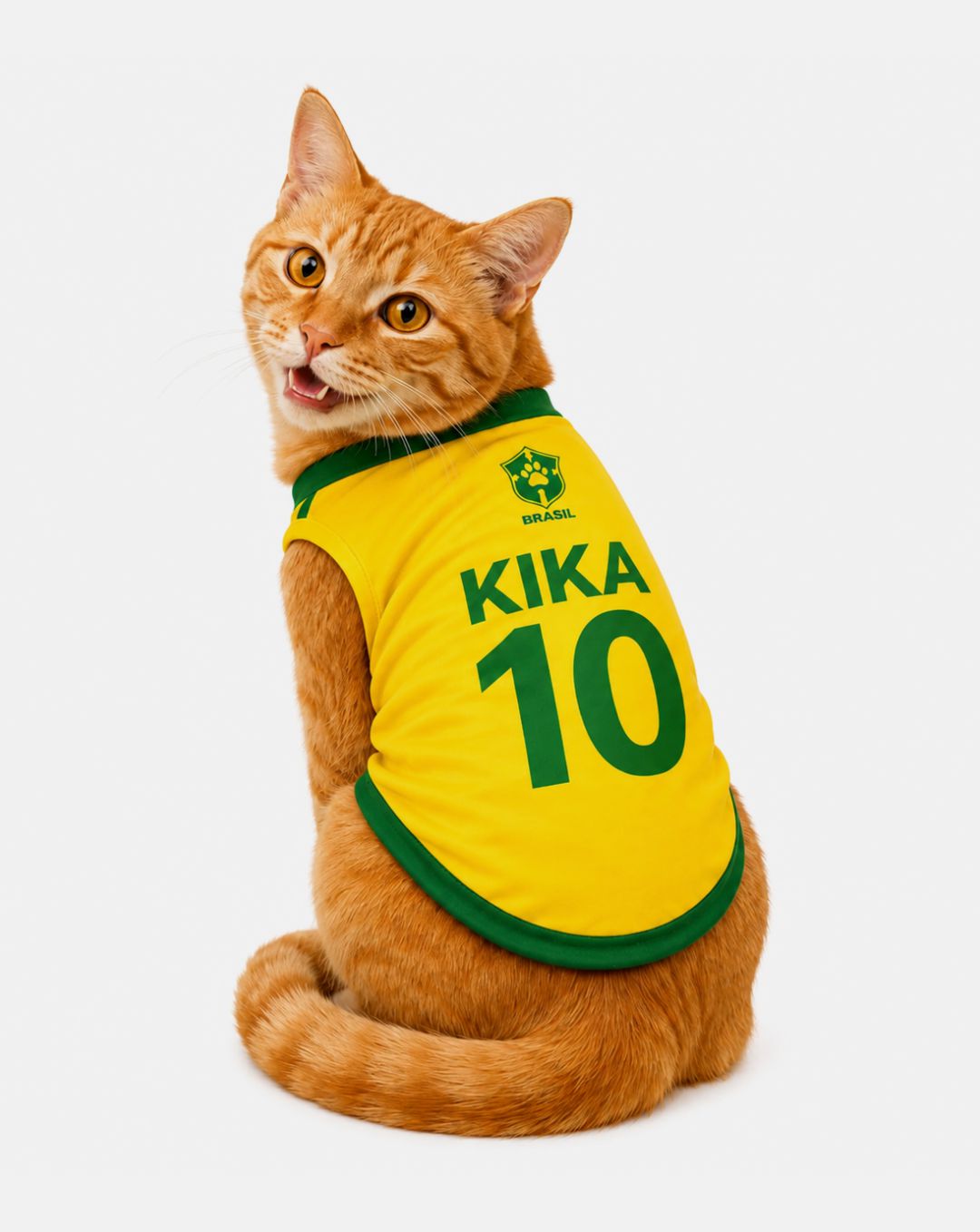 Camisa Personalizada para Gato Nome e Número