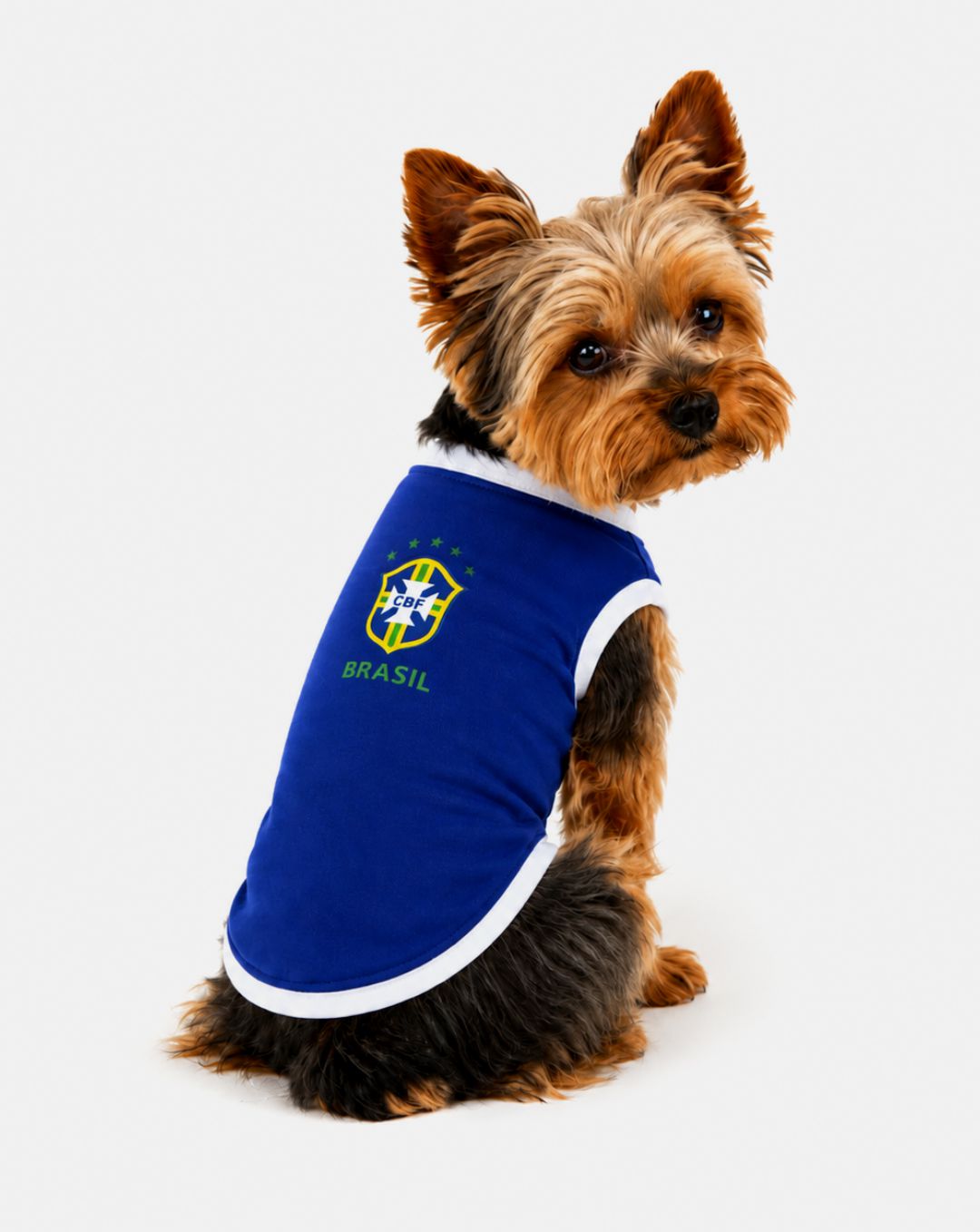 Camisa Brasil 3 Cores