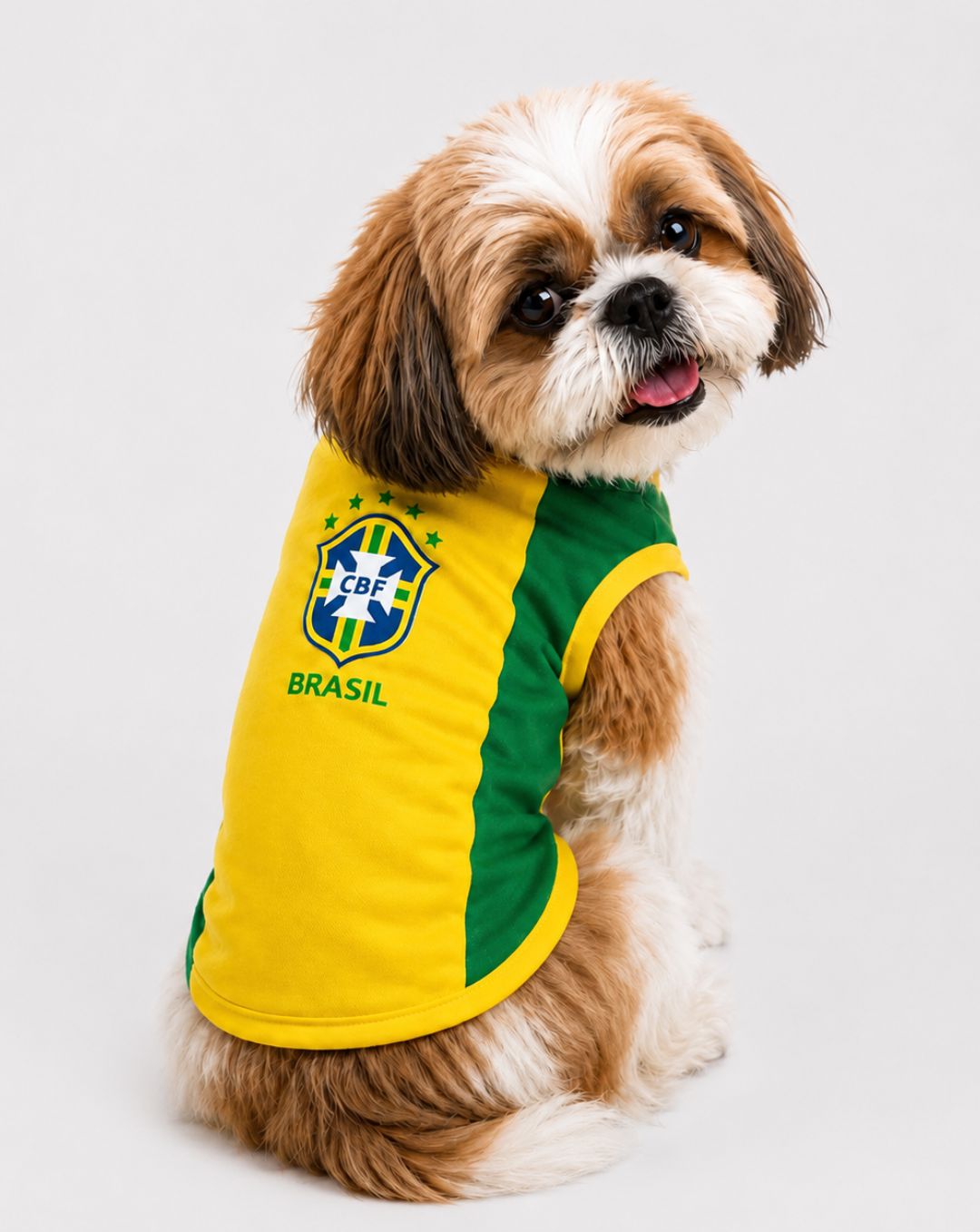 Camisa Brasil Clássica