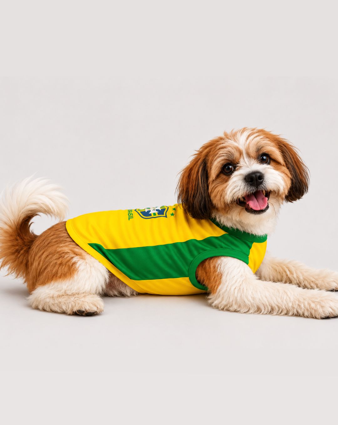 Camisa Brasil Clássica