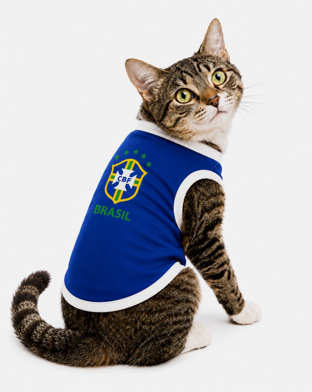 Camisa para Gato Brasil Lisa Azul