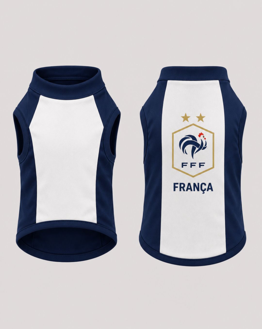 Camisa copa do mundo França